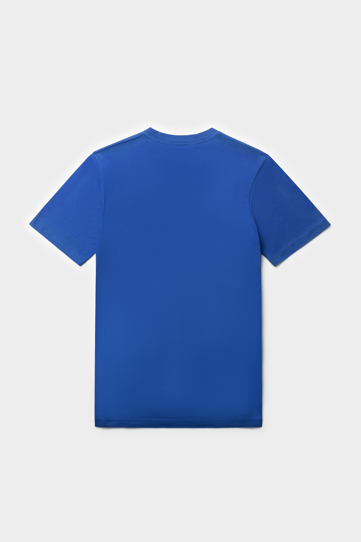 Brand Straight T-Shirt Surf The Web/Bright White