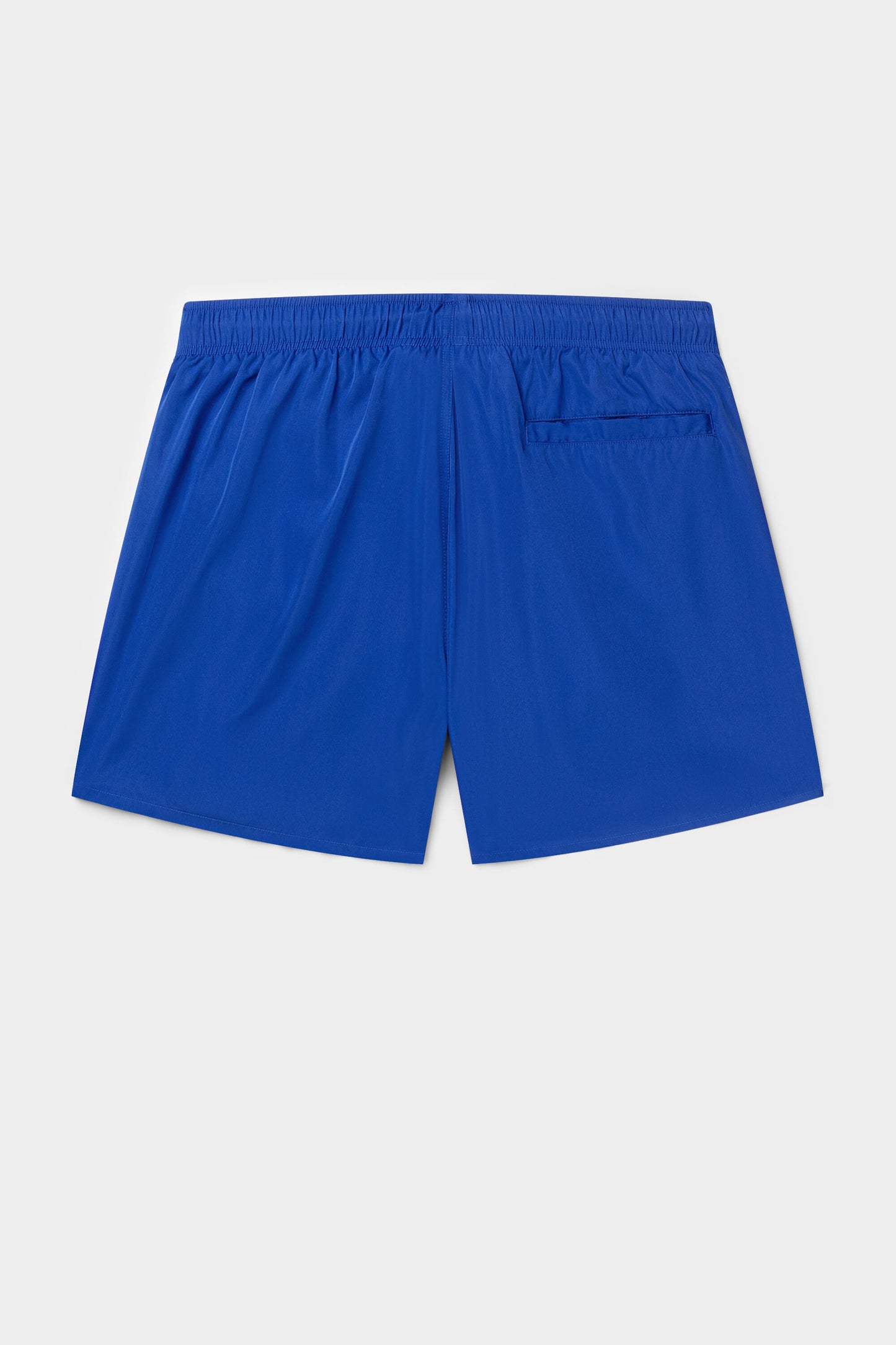 Classic Big Brand Swim Short Surf The Web