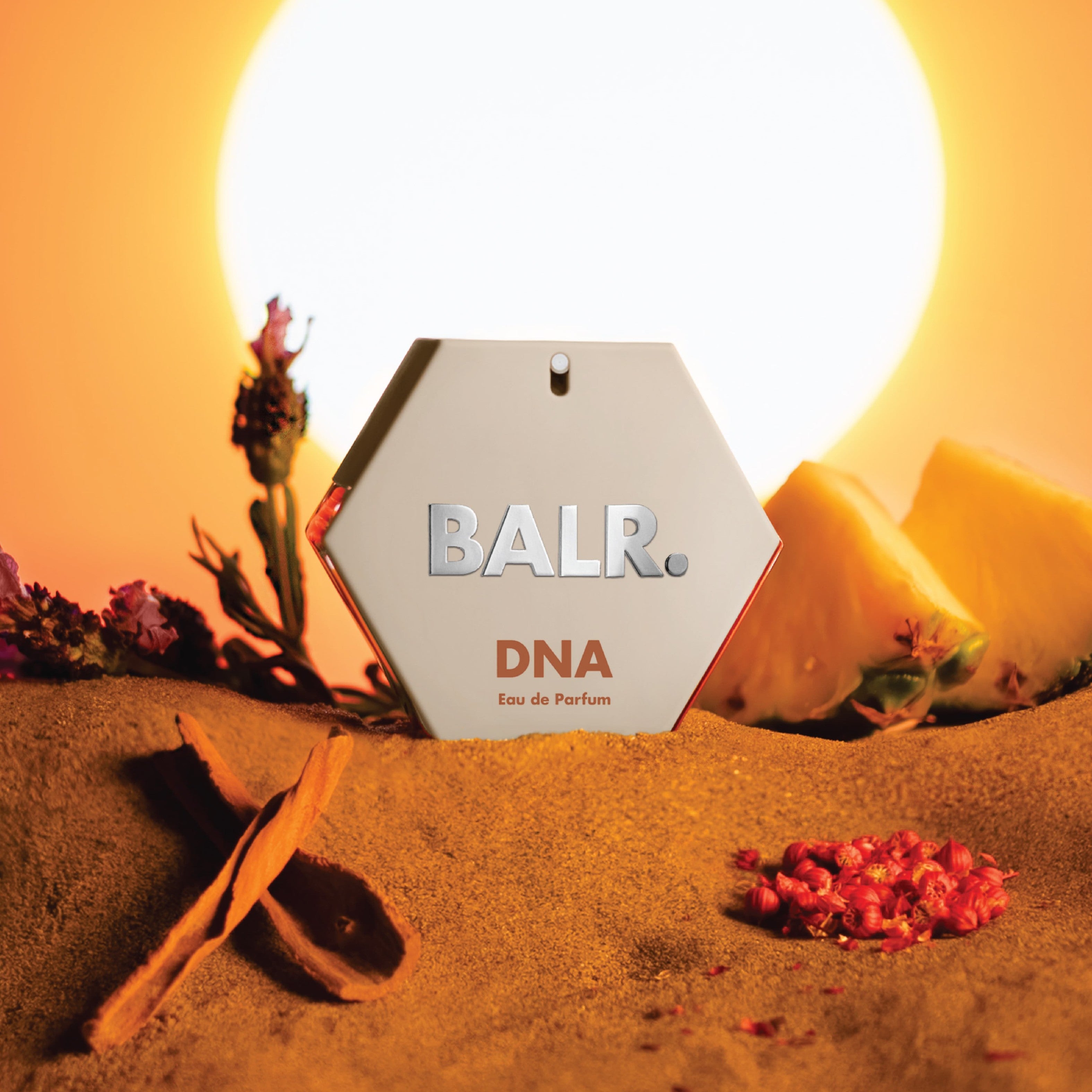 DNA_MEN_1080x1080_1_2.jpg