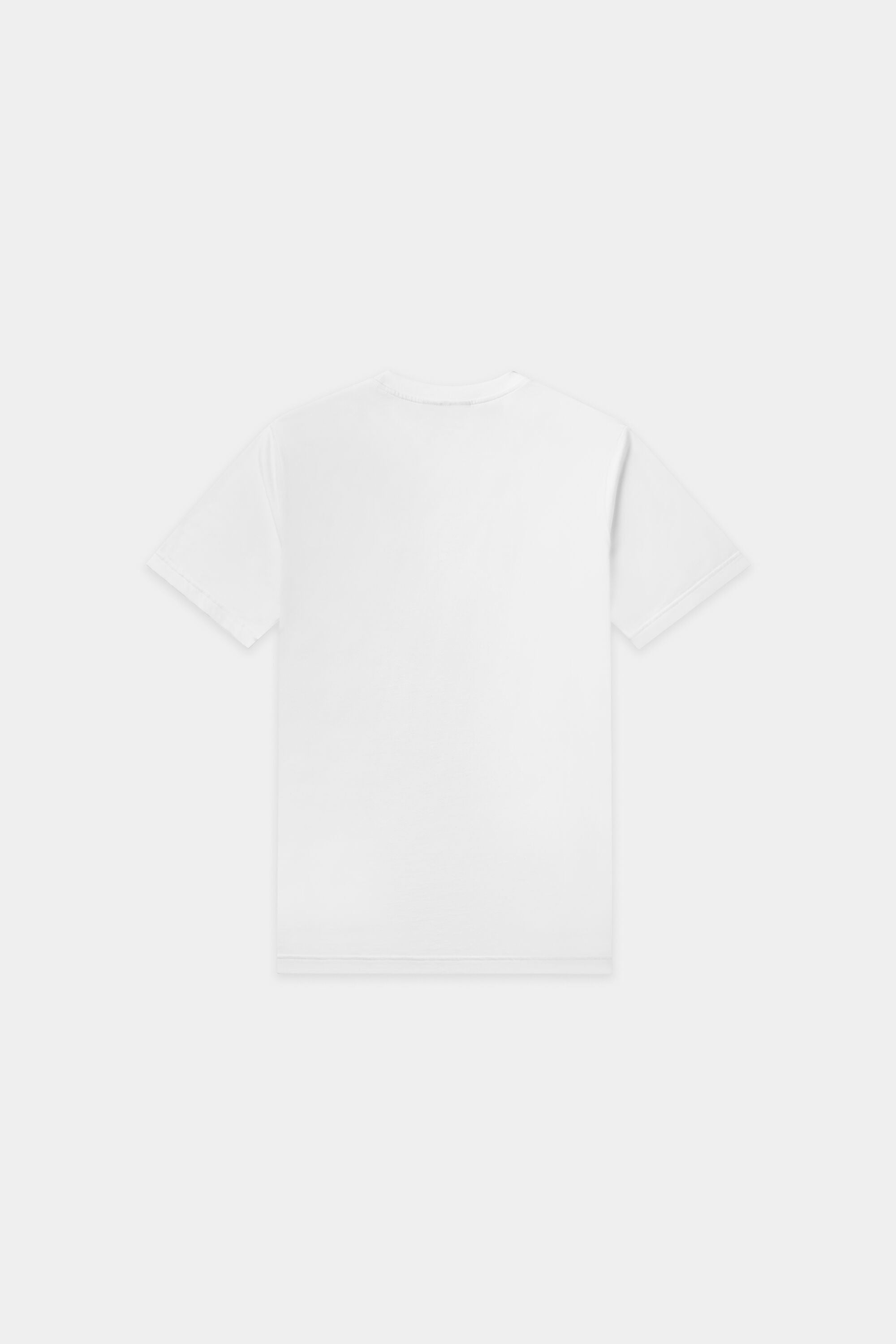 Hex Stripe Regular Fit T-Shirt Bright White
