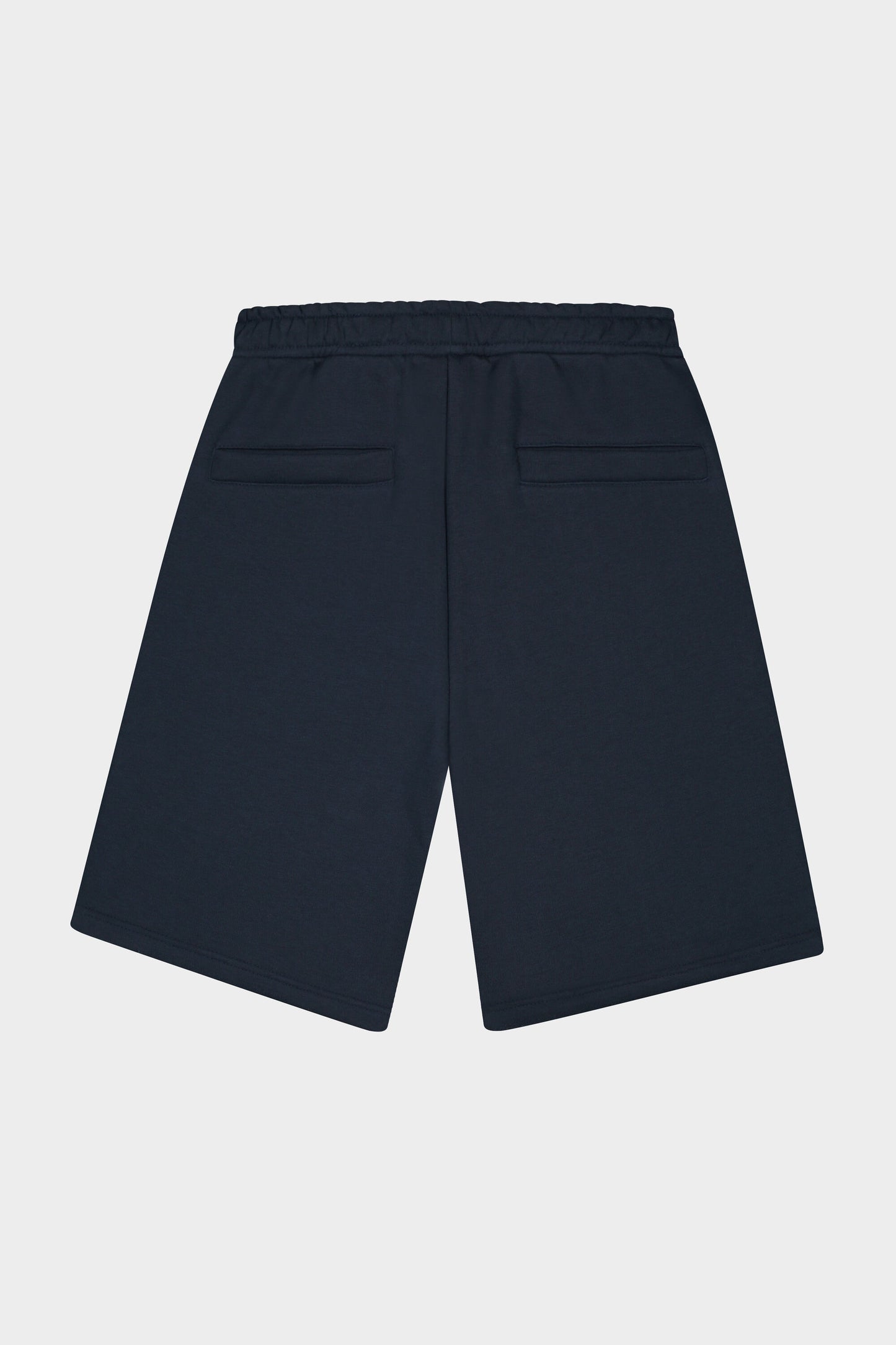 Regular Seasonal Brand Shorts Navy Blazer
